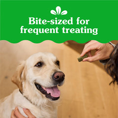 Greenies Anytime Bites training-pouch-scene demonstrates convenient rewards at home or park