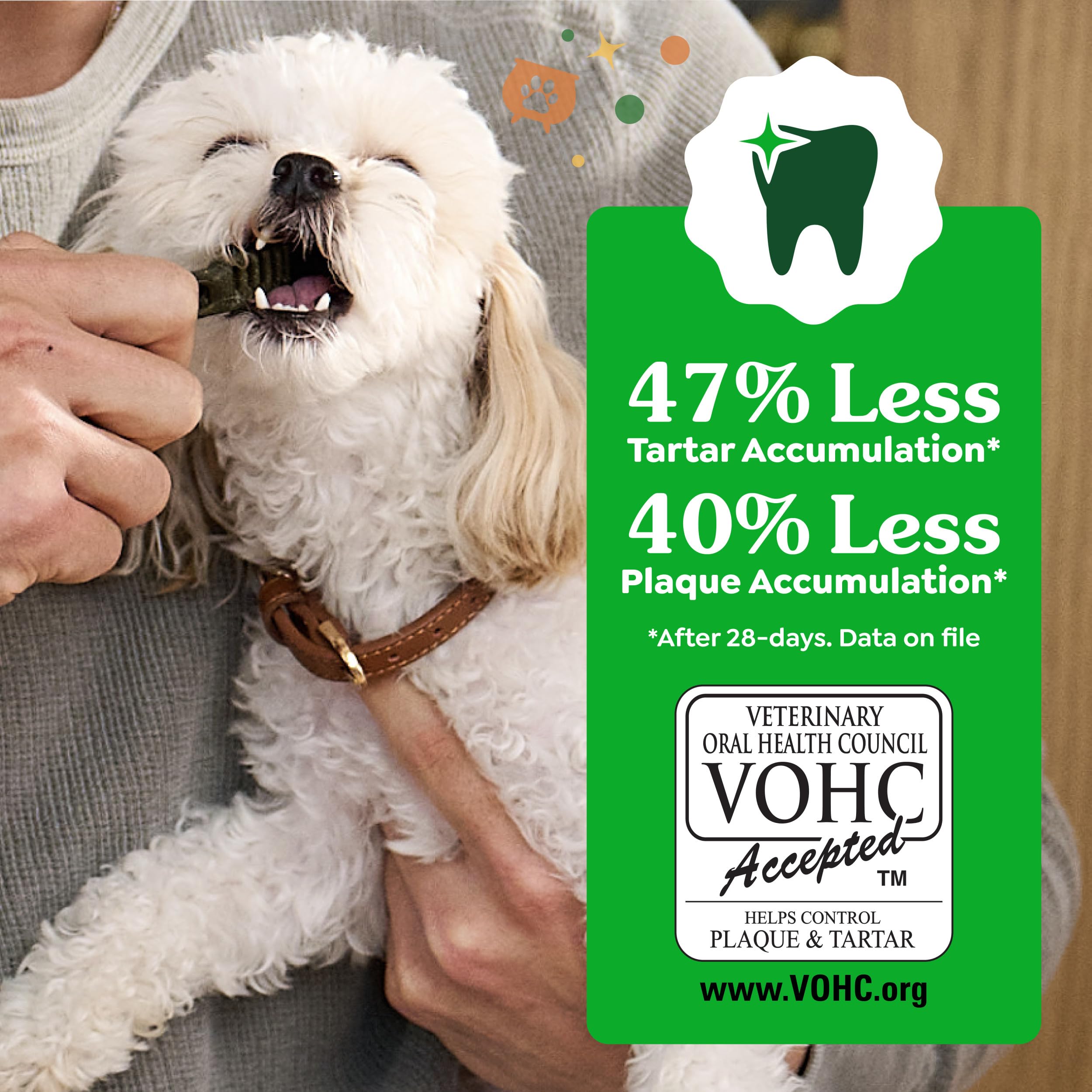 Greenies breath-freshening treat with pumpkin spice aroma: supports fresher breath.