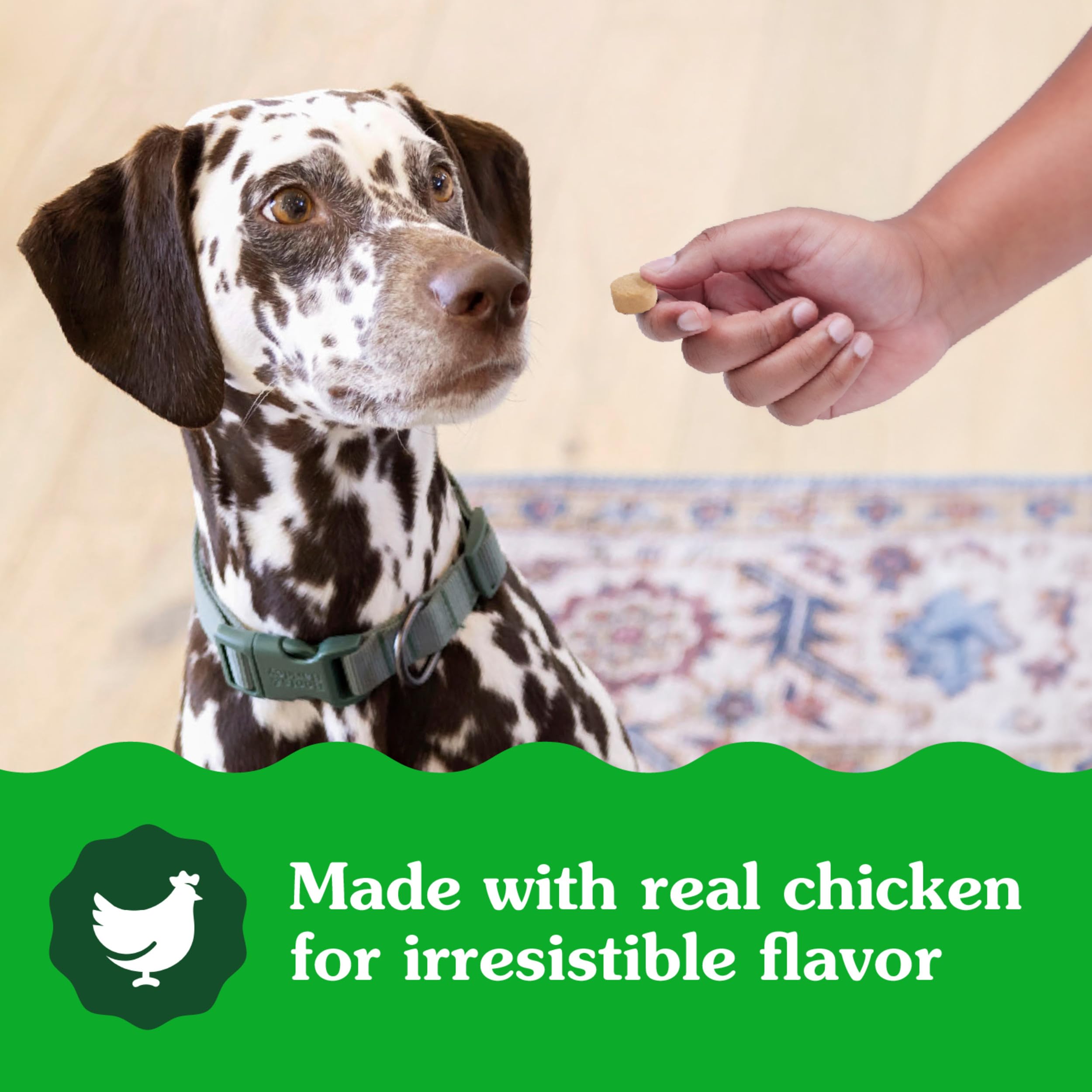 Greenies calming chews near dog bed signaling convenient daily use.