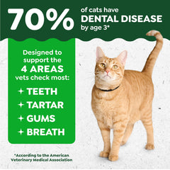 Greenies catnip flavor treats entice cats and support breath freshness.