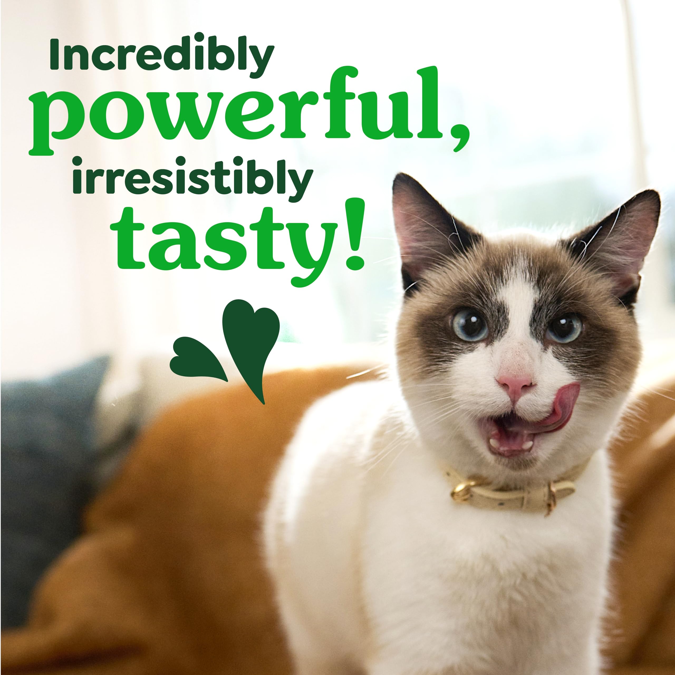 Low-calorie badge on Greenies for indoor cats.