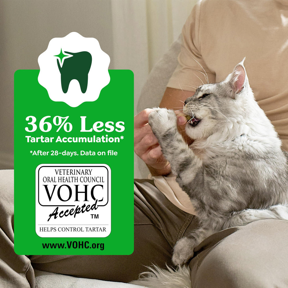 Greenies for indoor cats support a daily dental care routine.
