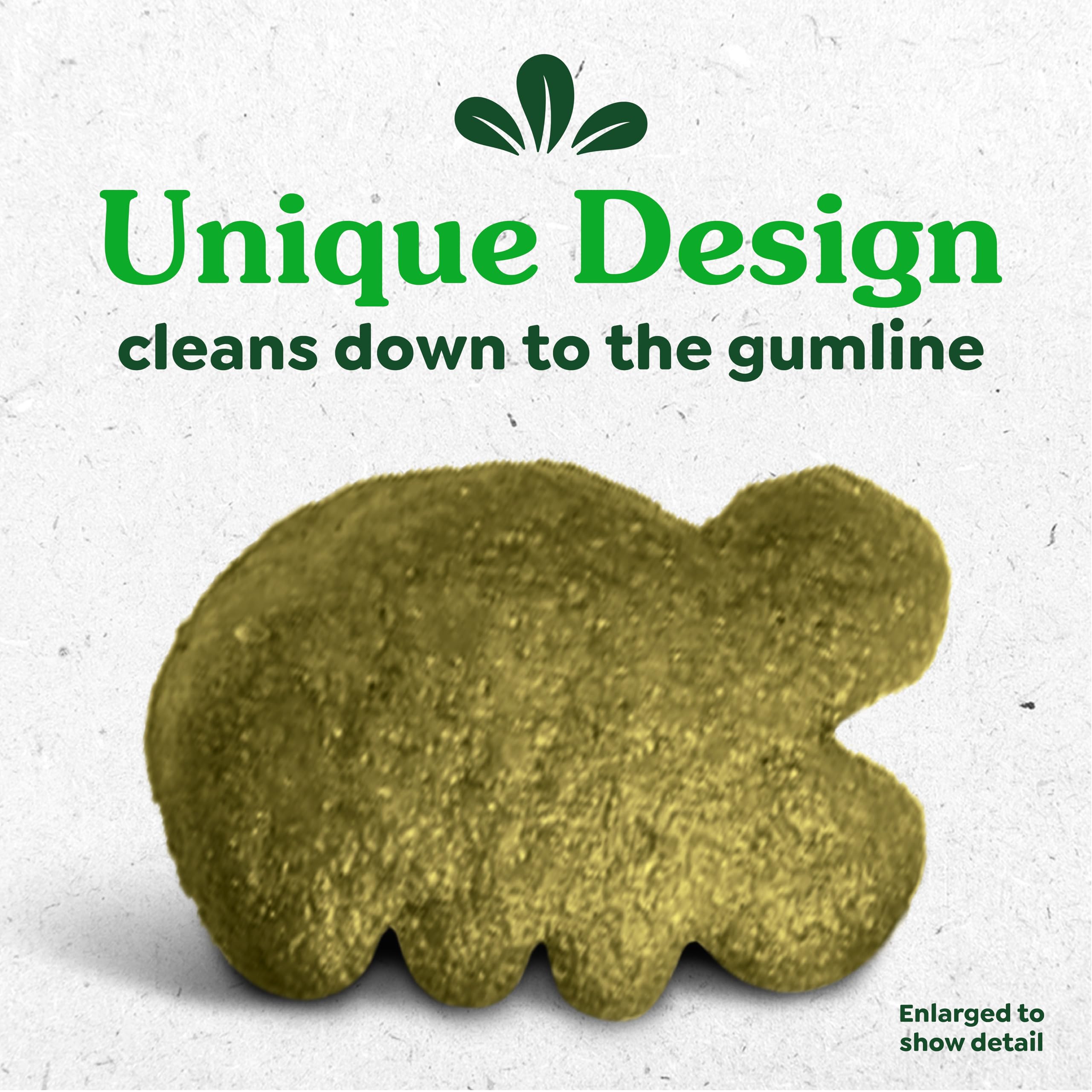 Greenies 21 oz tub packaging shown for convenient daily routine.