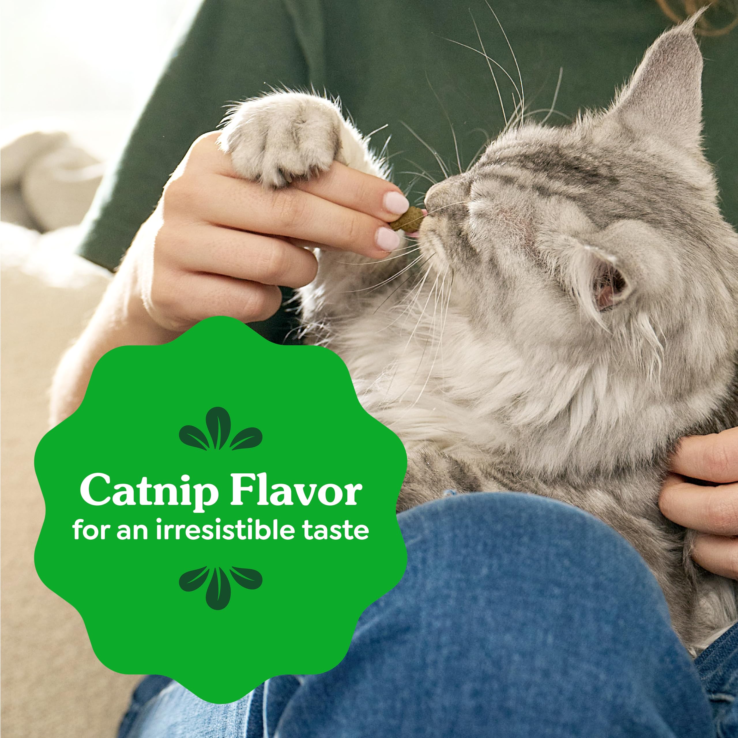 Greenies are veterinarian-recommended dental treats for cats.