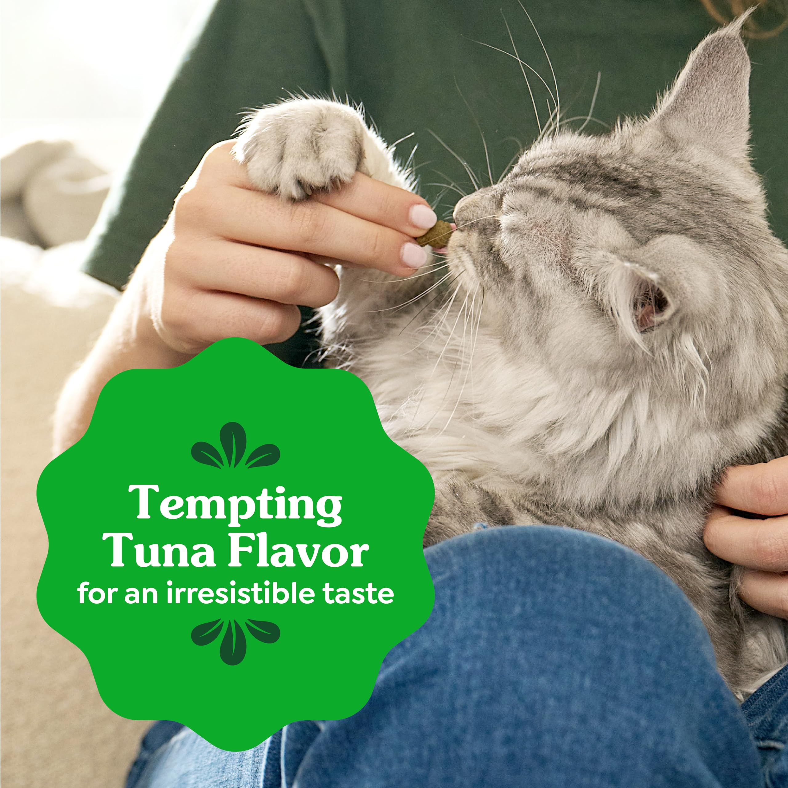 Greenies are veterinarian-recommended, a trusted option for dental care.