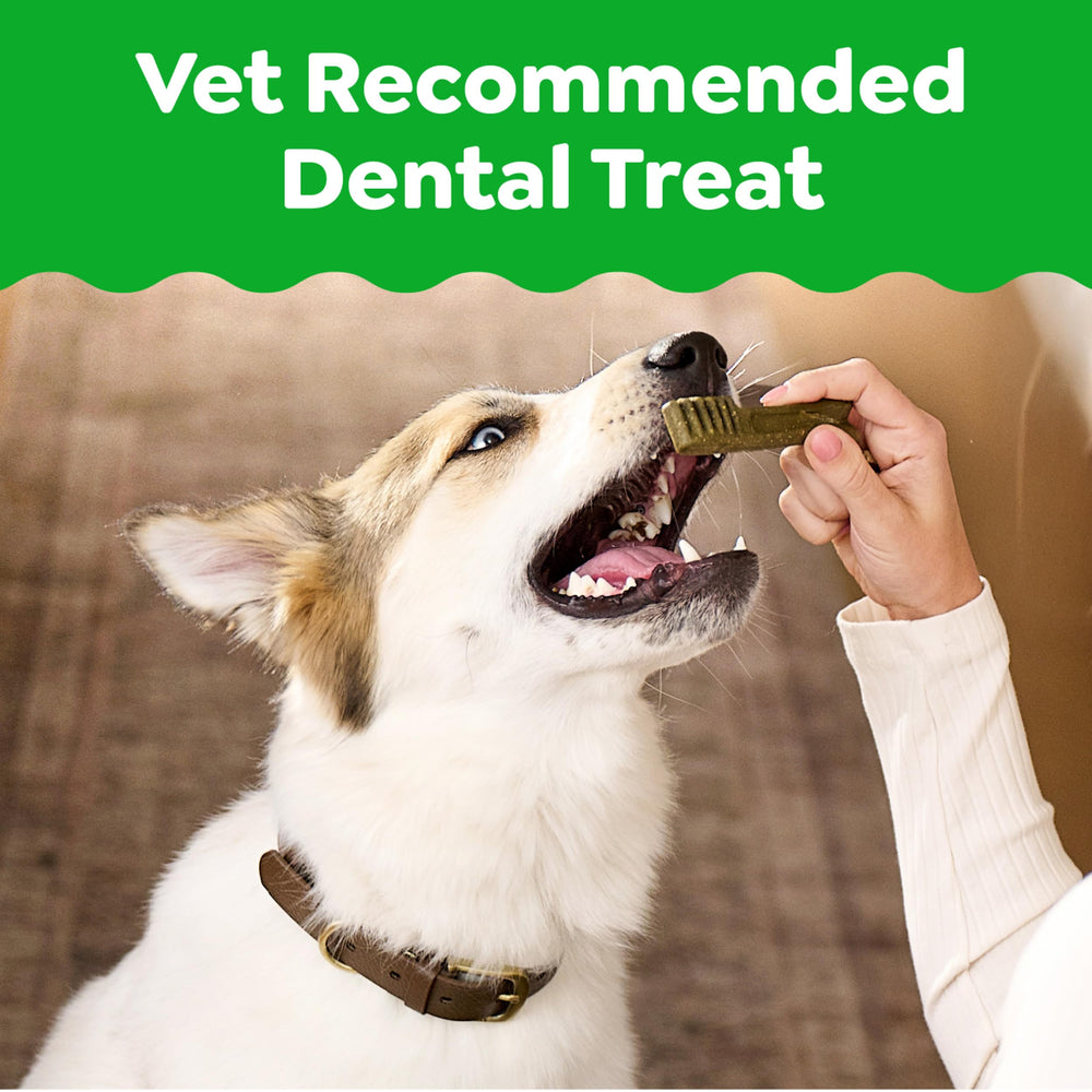 Greenies daily dental care treats support gum health and reduce plaque.