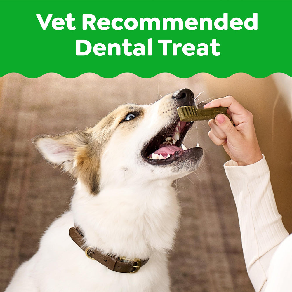 Greenies dental chews texture closeup for large dogs, designed to clean toward the gumline.