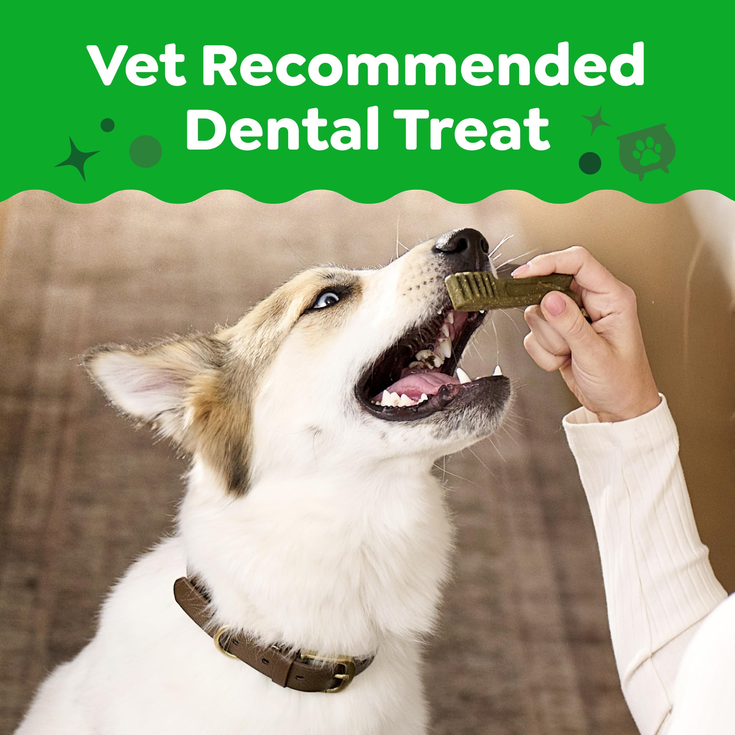 Greenies dental treat texture close-up; designed to clean down to the gumline.