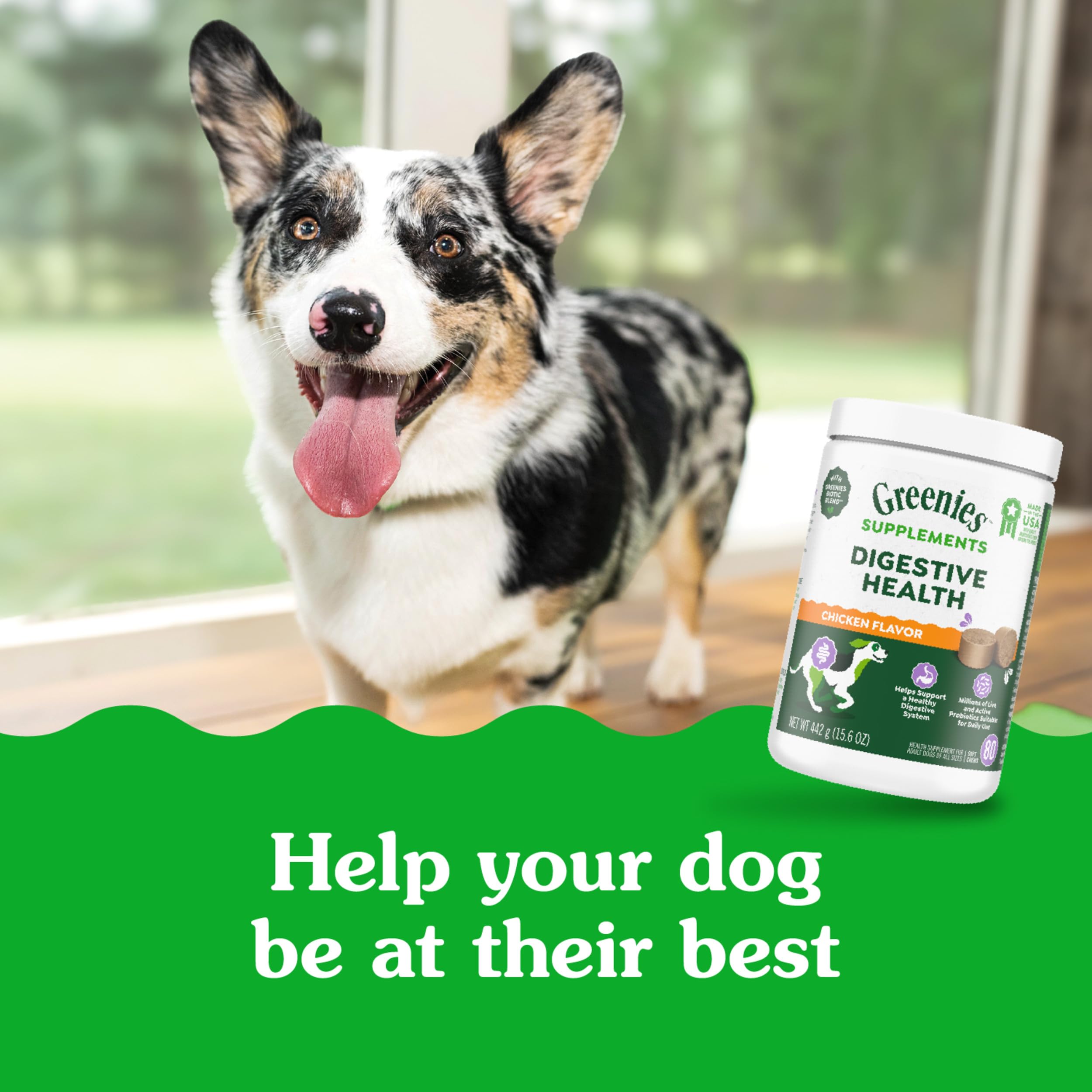 Greenies Digestive Health for adult dogs in home setting.