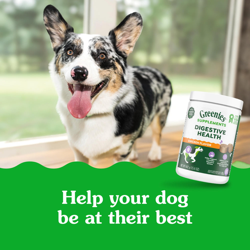 Greenies Digestive Health for adult dogs in home setting.