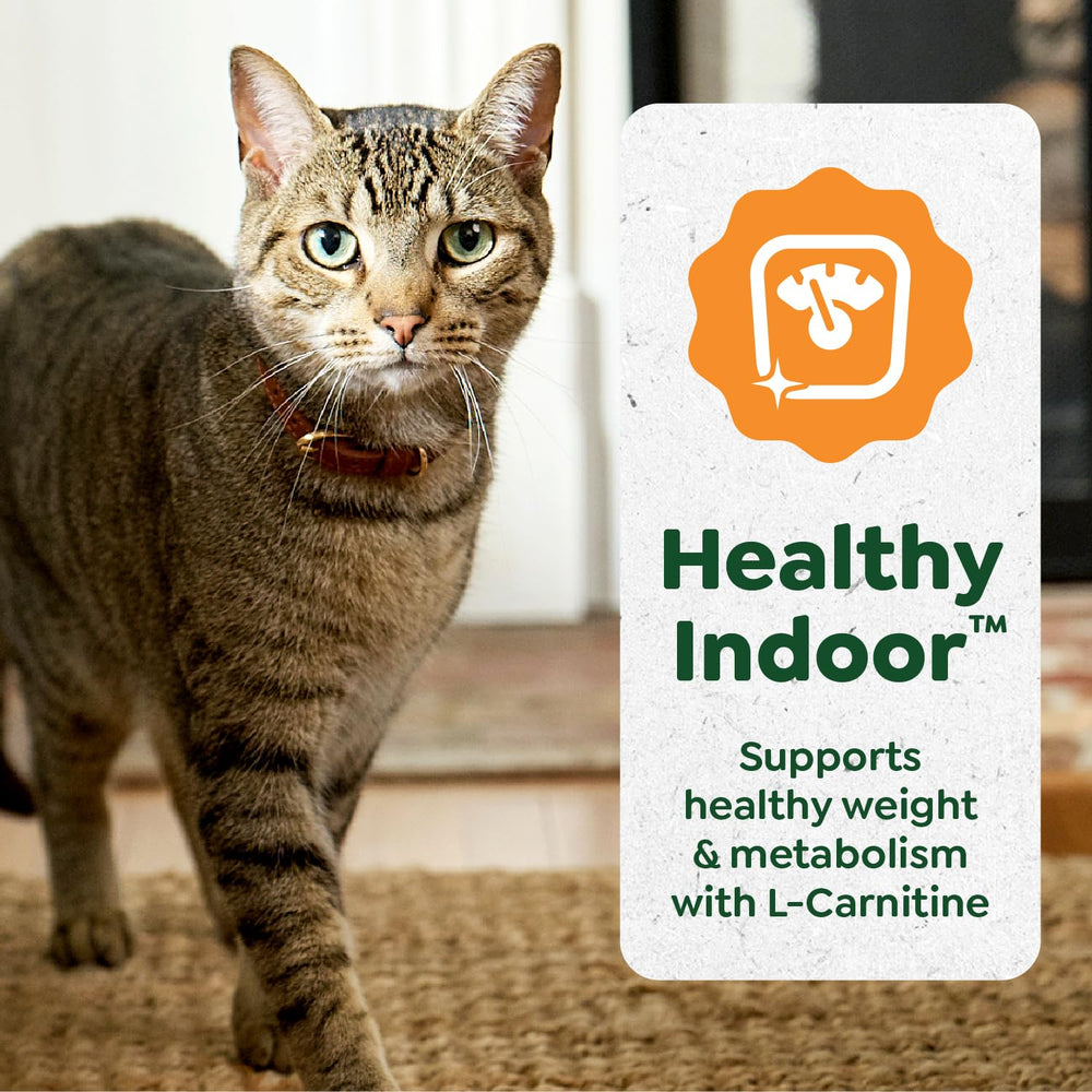 Greenies Feline Smart Purees cat treat bowl serving offers convenient feeding options.