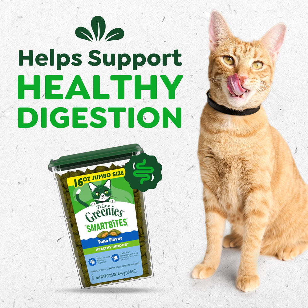 Greenies Smartbites crunchy and creamy texture entices indoor cats during treats
