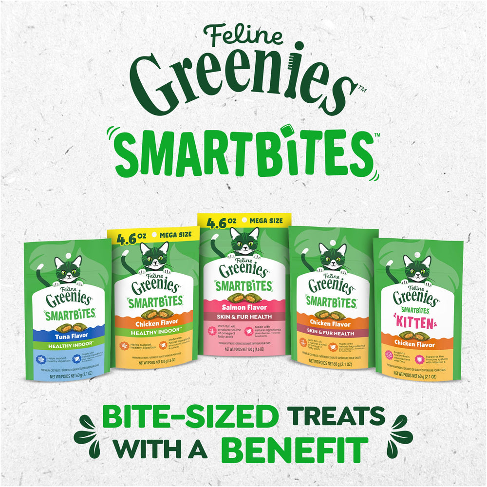 Indoor kitten enjoying Greenies Smartbites during a training moment