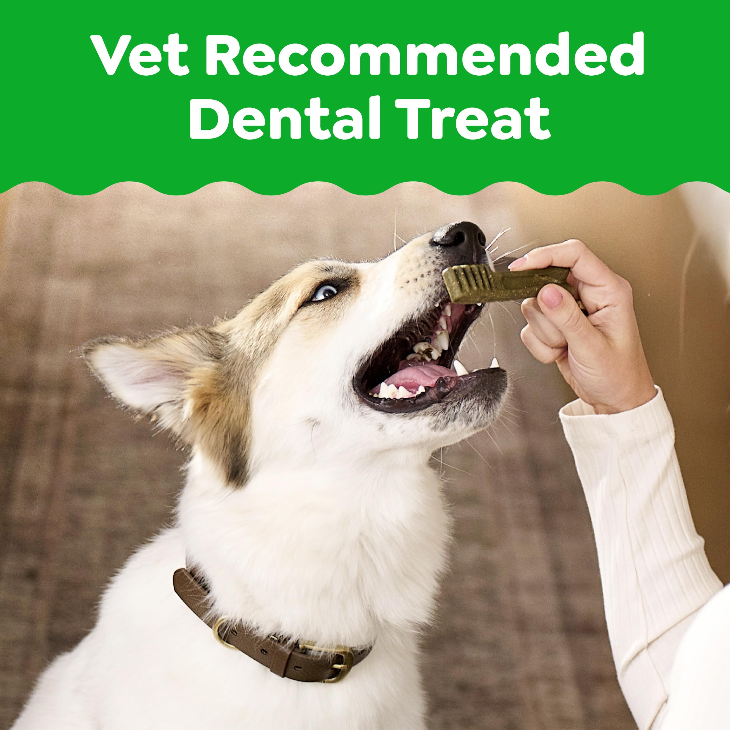 Close-up of Greenies texture designed to clean along the gumline.