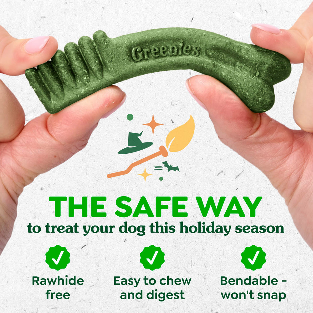 Greenies limited-edition pumpkin spice packaging: seasonal treat for dogs 25-50 lbs.