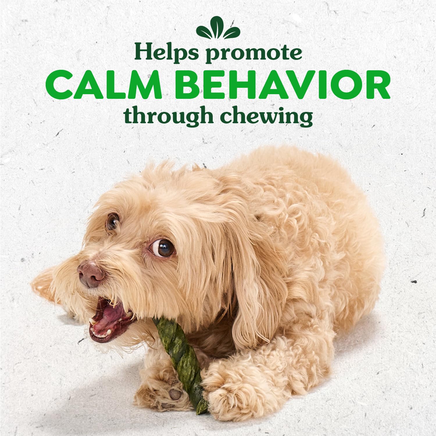 Greenies Occupy Twists chicken flavor chews, long-lasting and great for focused play.