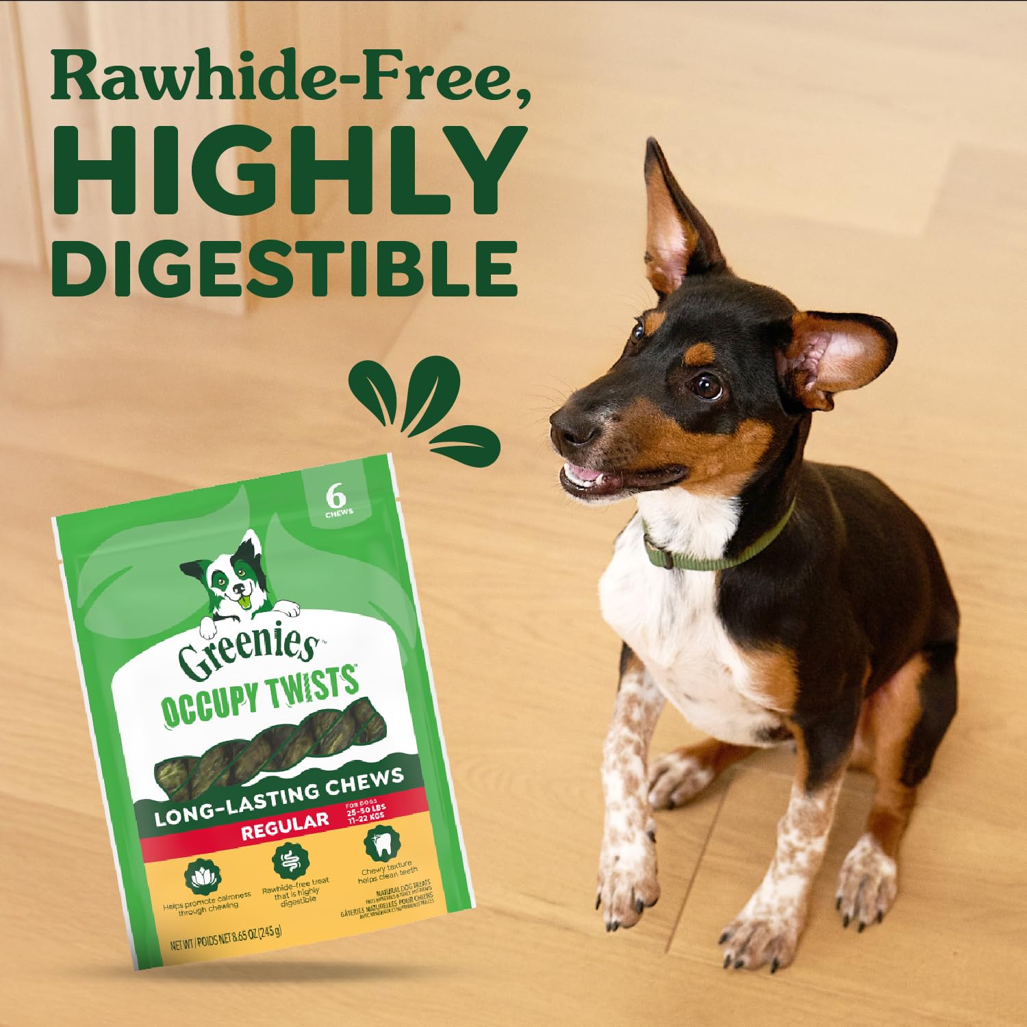 Greenies Occupy Twists long-lasting chew keeps dogs engaged through a session