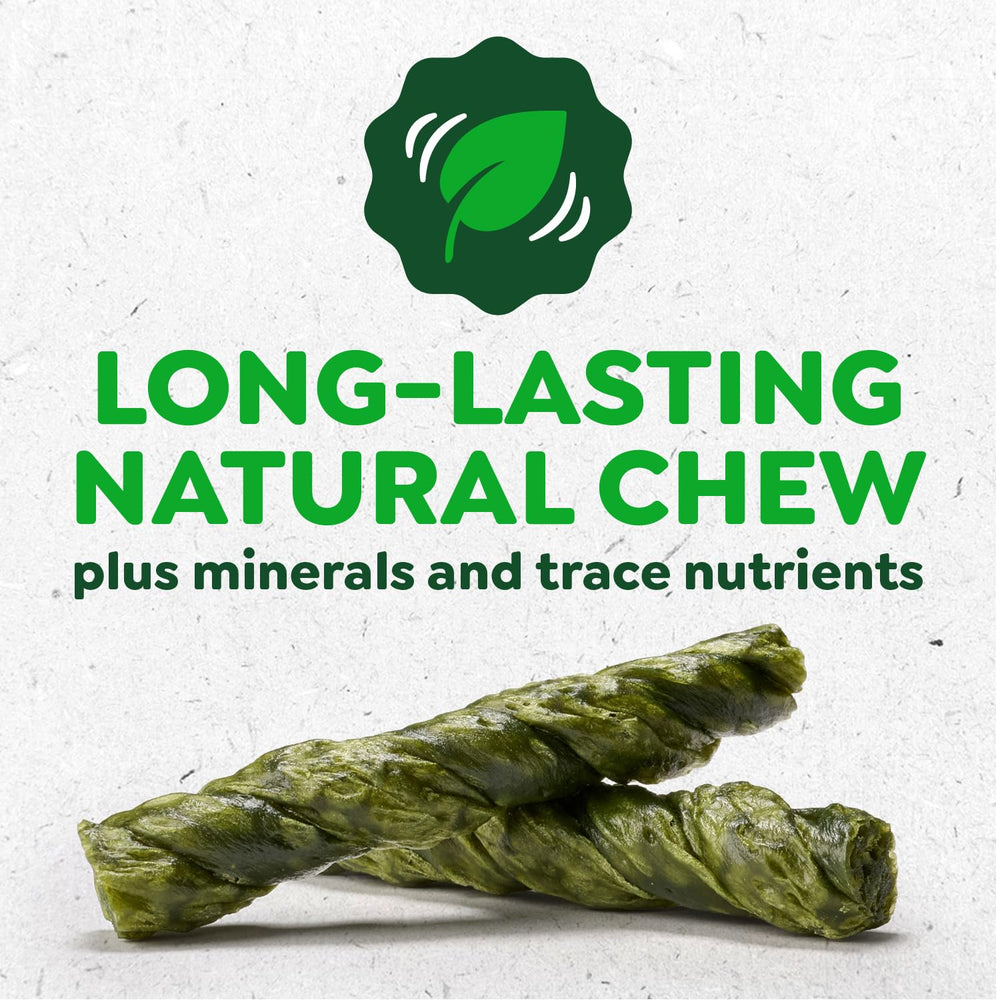 Greenies Occupy Twists twist-shaped chew designed for focused chewing.