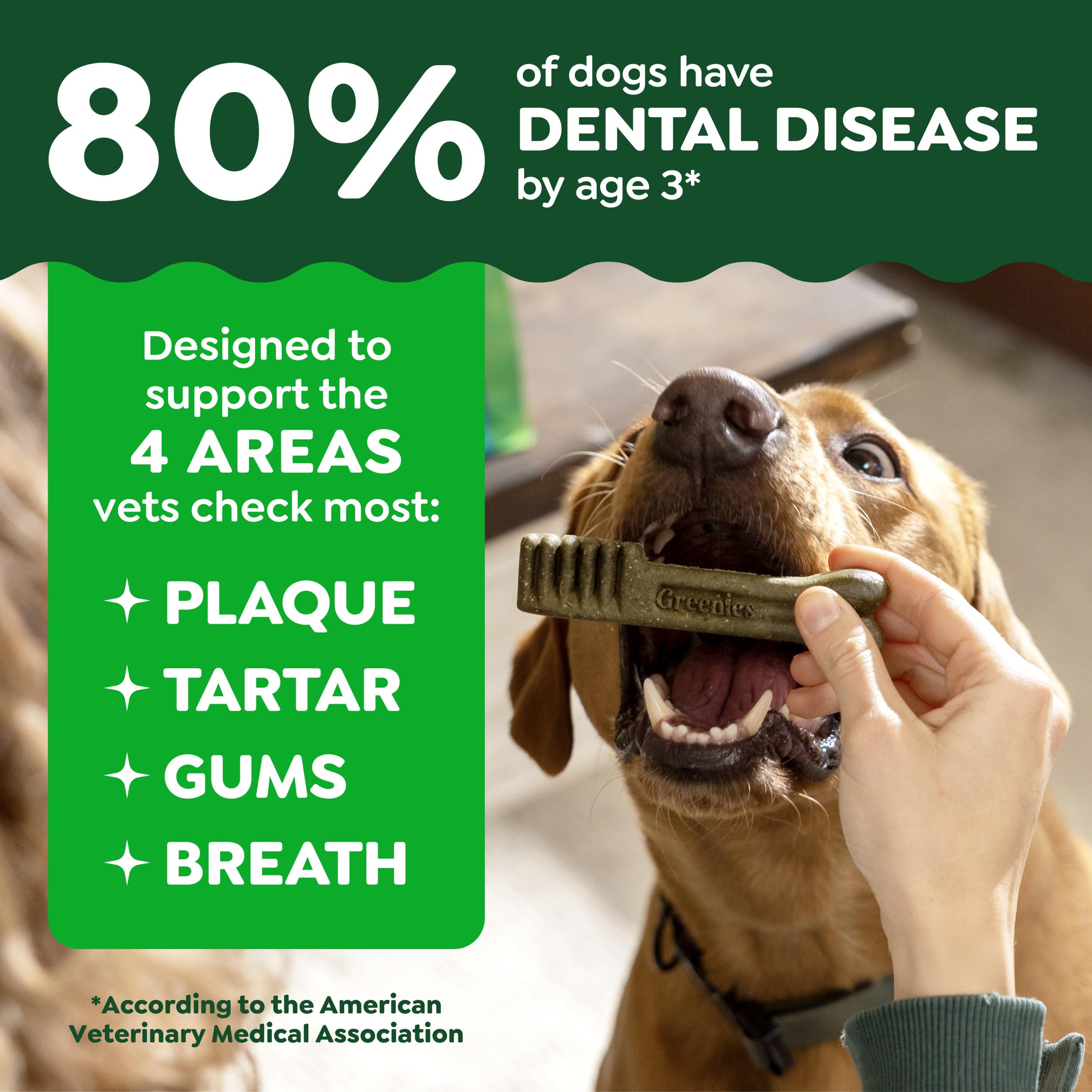 Closeup of Greenies texture designed to clean down to the gumline for plaque control
