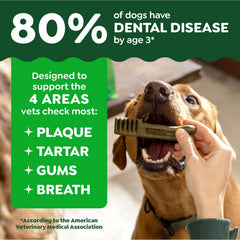 Greenies Petite Original dog chew action demonstrates chewing engagement for oral care.