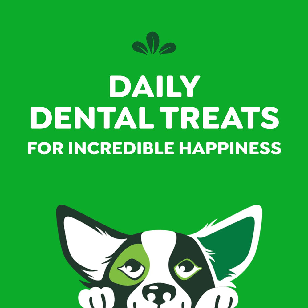 Greenies Petite tartar-control graphic highlights reduced buildup in a dental routine.
