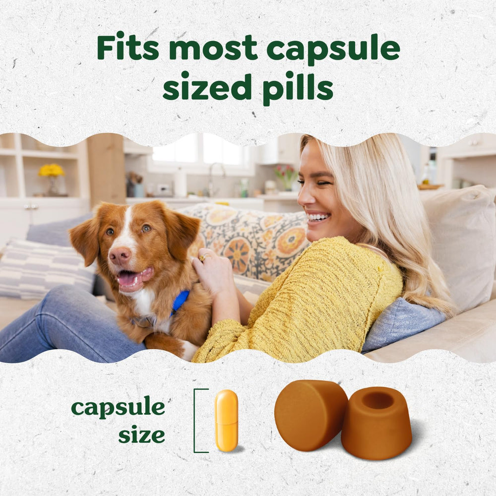 Dog happily enjoying a treat with a capsule inside Greenies Pill Pockets.