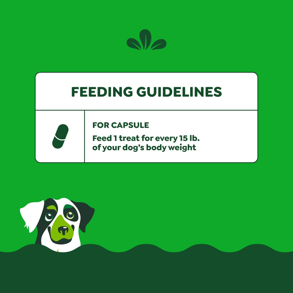 Greenies Pill Pockets Large dog mess-free treat that hides pills