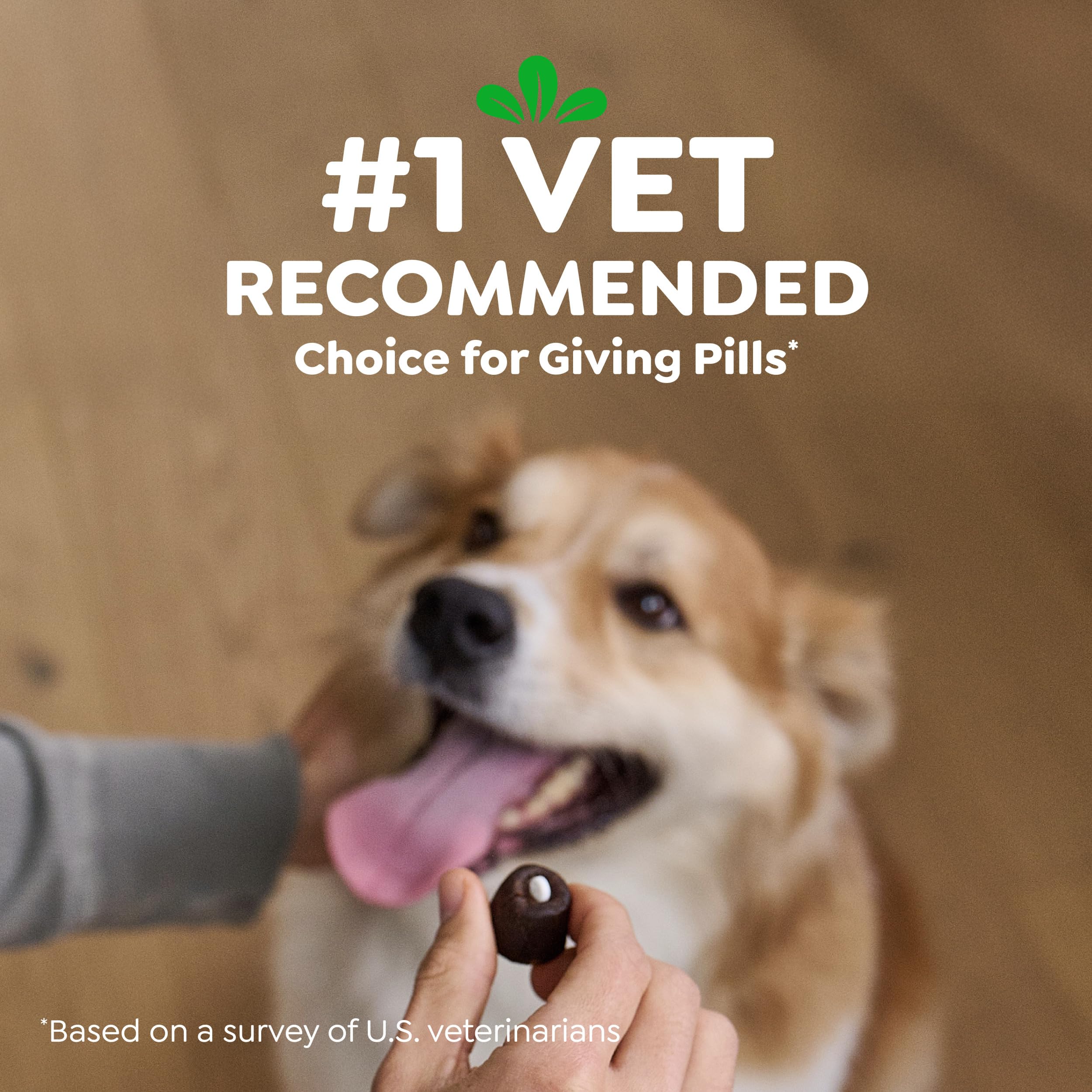 Greenies Pill Pockets after use, paws clean and stress-free feeding experience.