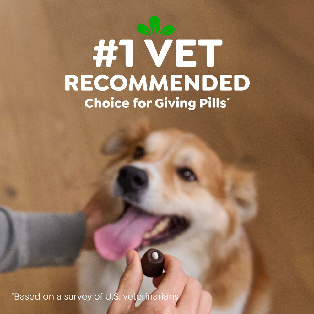 Greenies Pill Pockets after use, paws clean and stress-free feeding experience.