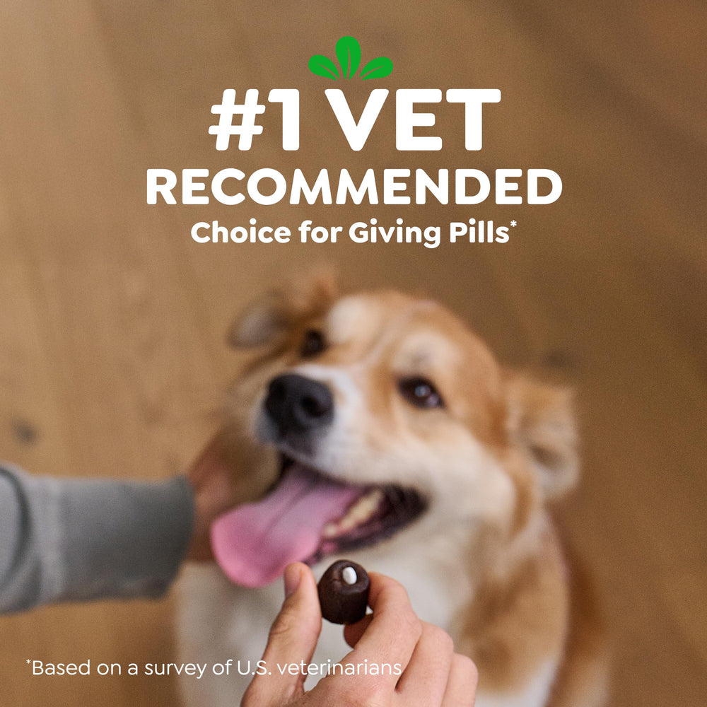 Greenies Pill Pockets small cheese, mess-free pill time for busy owners.