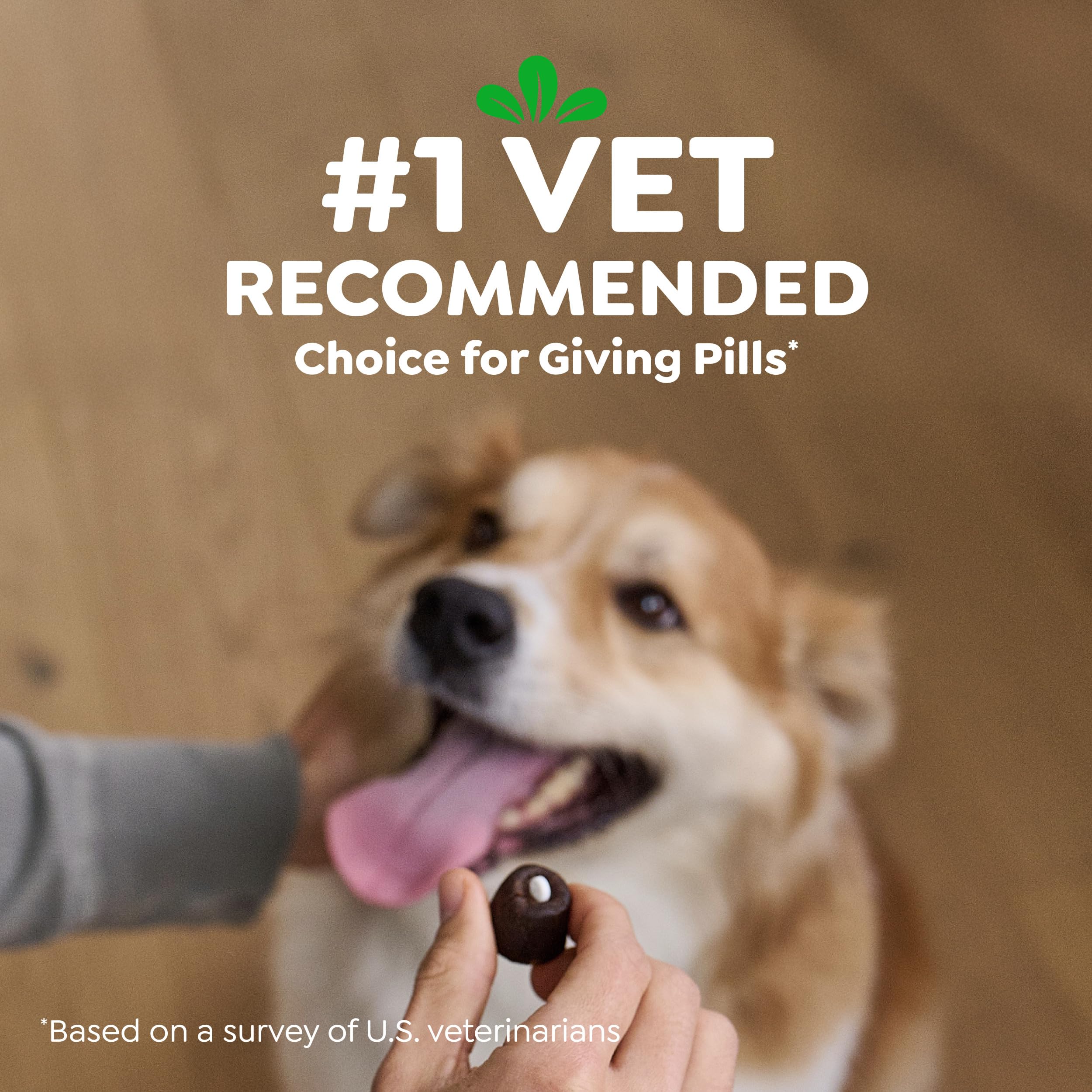 Greenies Pill Pockets vet-recommended approach to capsule delivery