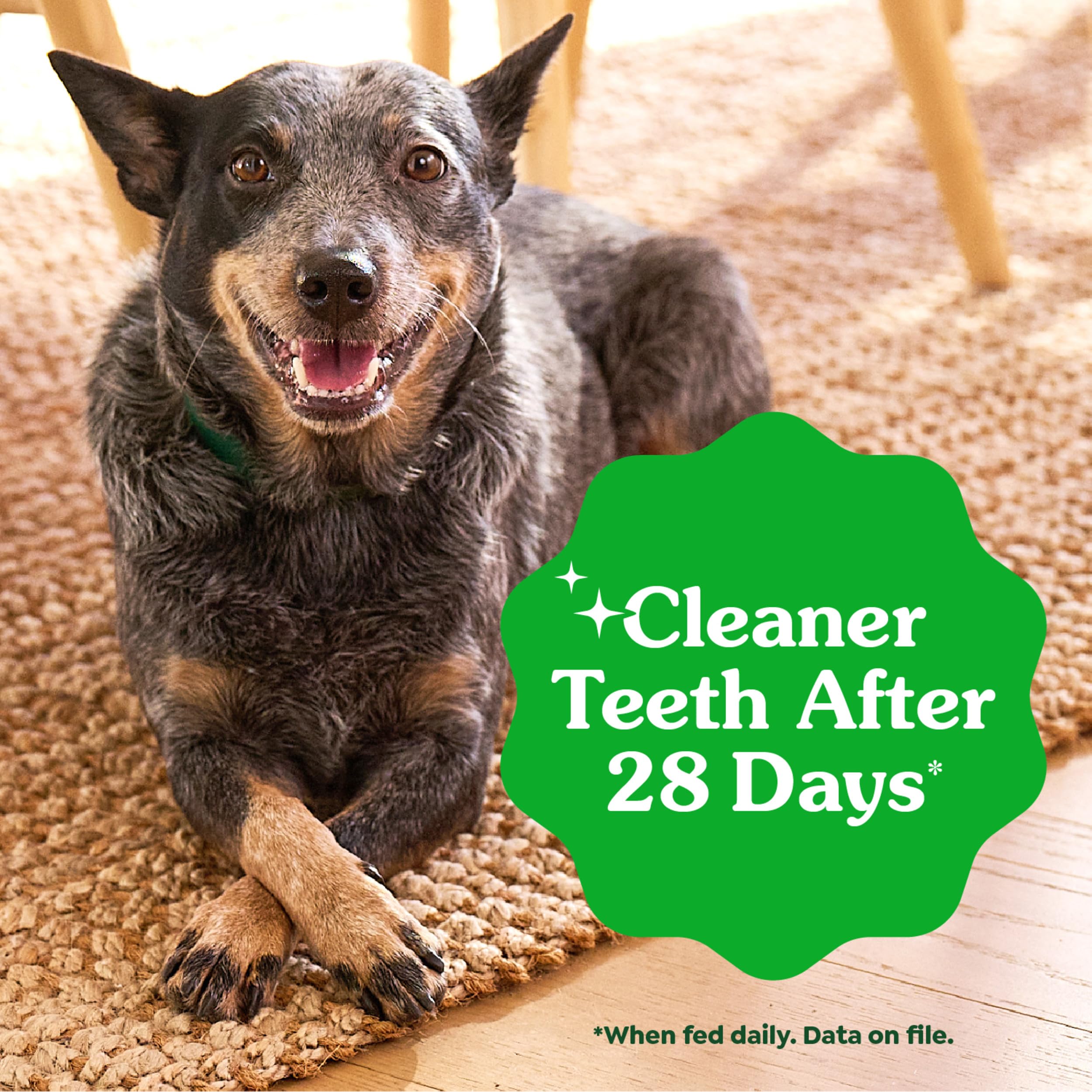 Greenies plaque-reduction chews work with brushing to maintain oral hygiene.