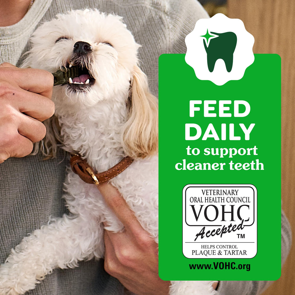 Greenies puppy chews in hand look dog-friendly and easy to chew