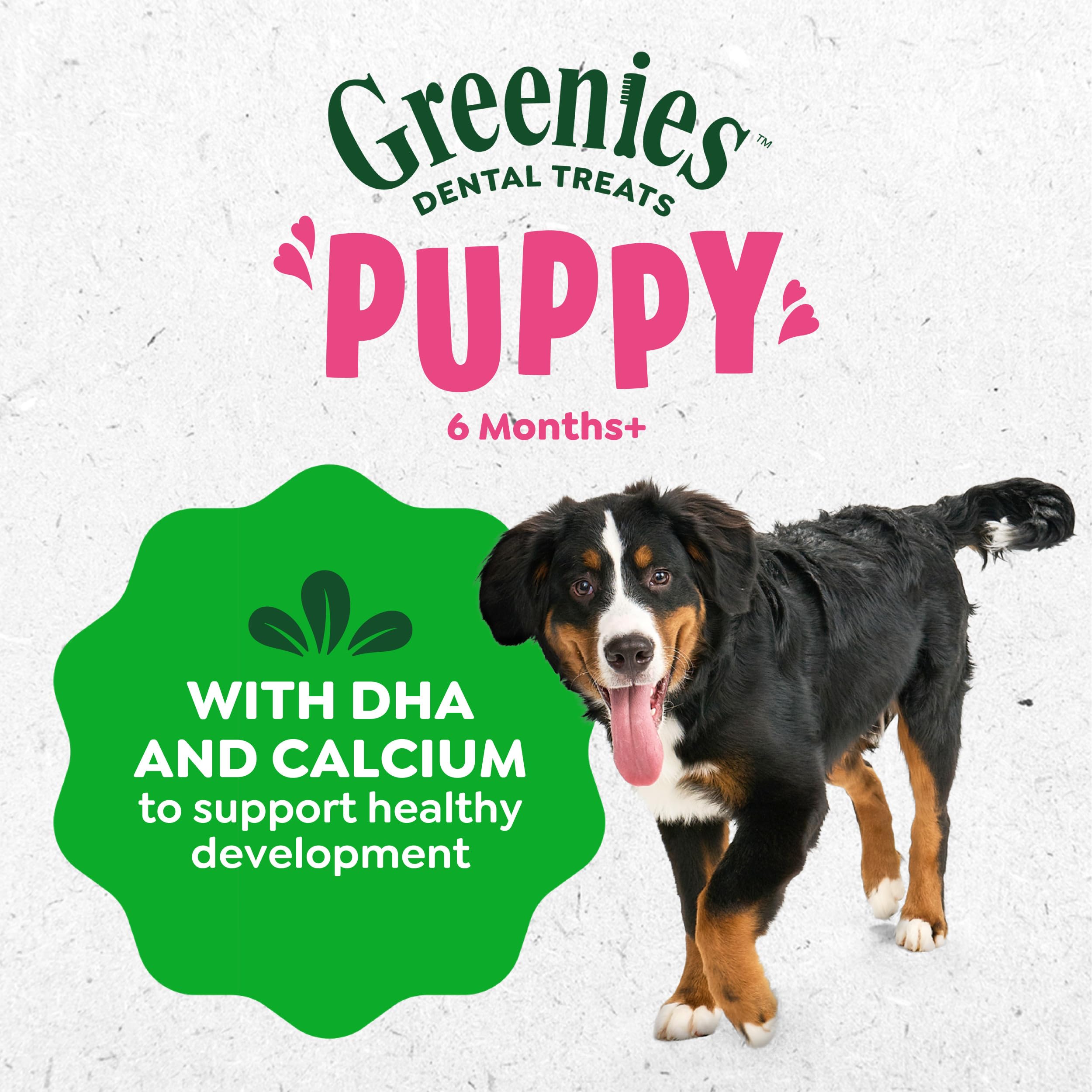 Puppy bowl scene with Greenies treats ready for daily care.