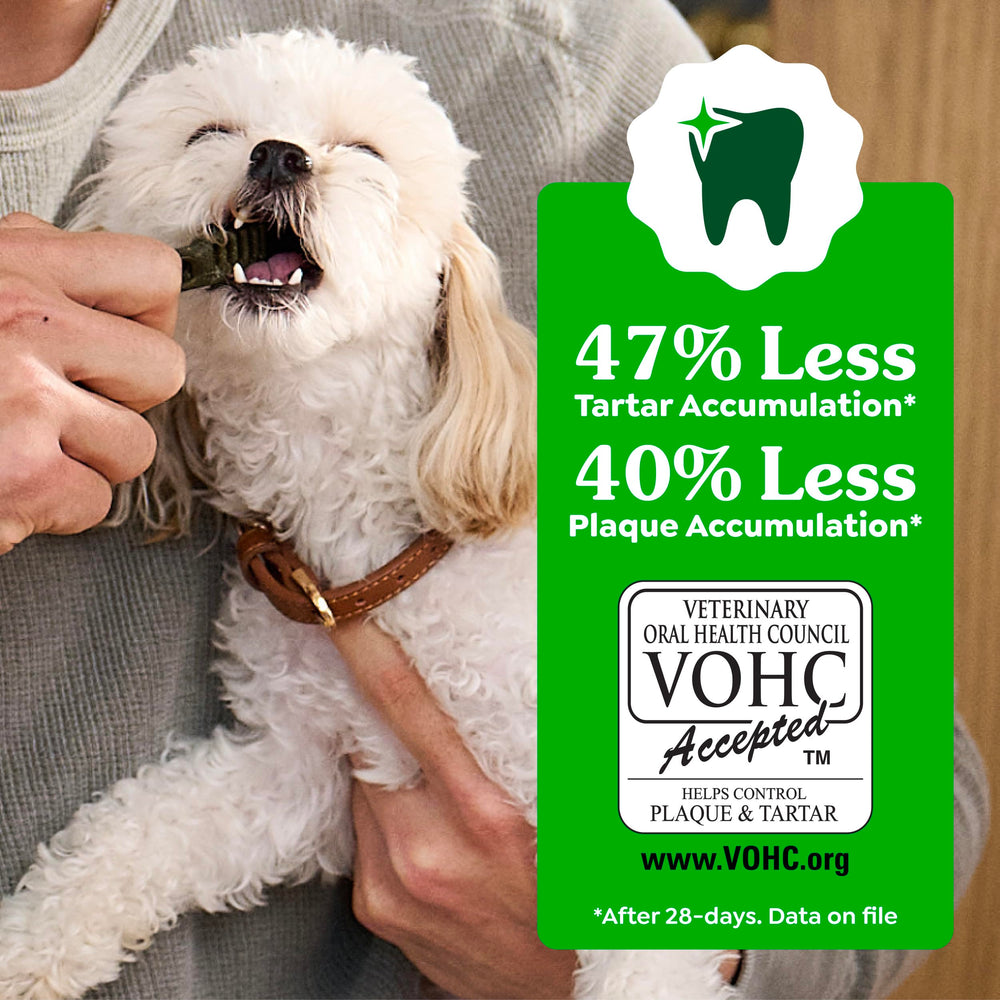 Greenies rawhide-free chews promote safer chewing and easy digestion.