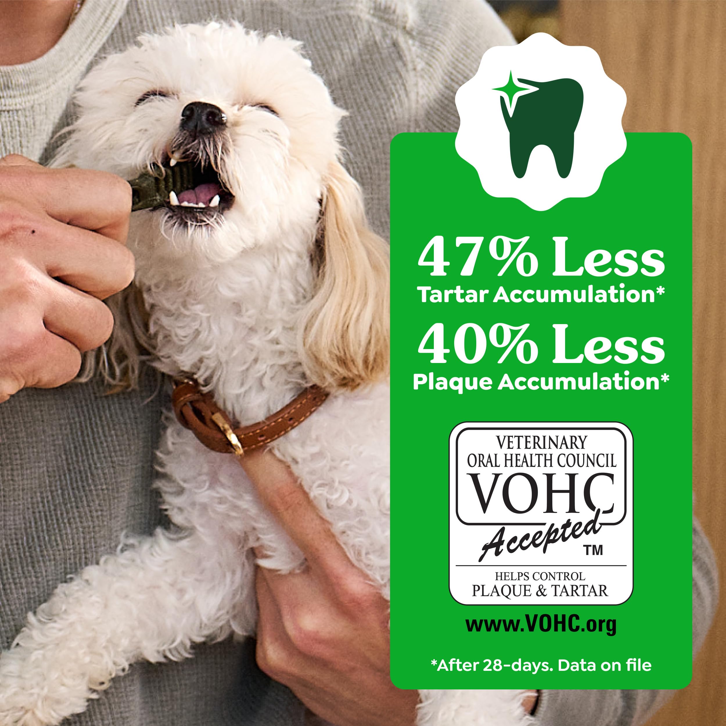 Greenies rawhide-free large-breed dental chews promote safe chewing.