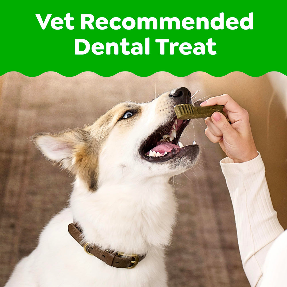 Greenies regular-size dog chews texture close-up improves cleaning action