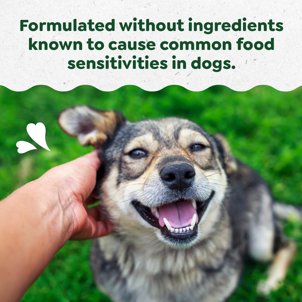 Close-up of Greenies chew showing peanut butter flavor for sensitive dogs