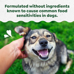 Close-up of Greenies chew showing peanut butter flavor for sensitive dogs