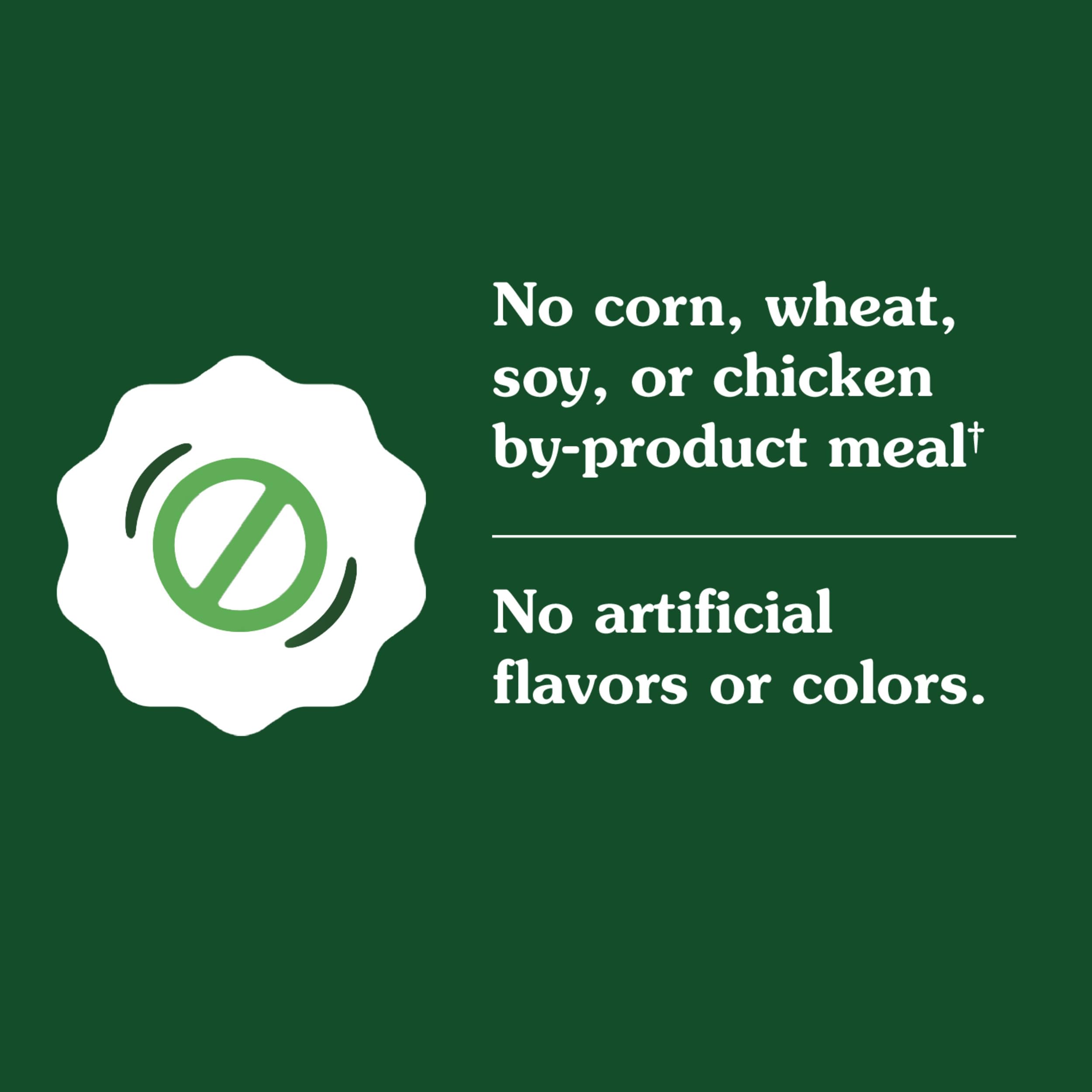 Kibble served from Greenies bag implies flavorful mealtime joy for dogs.