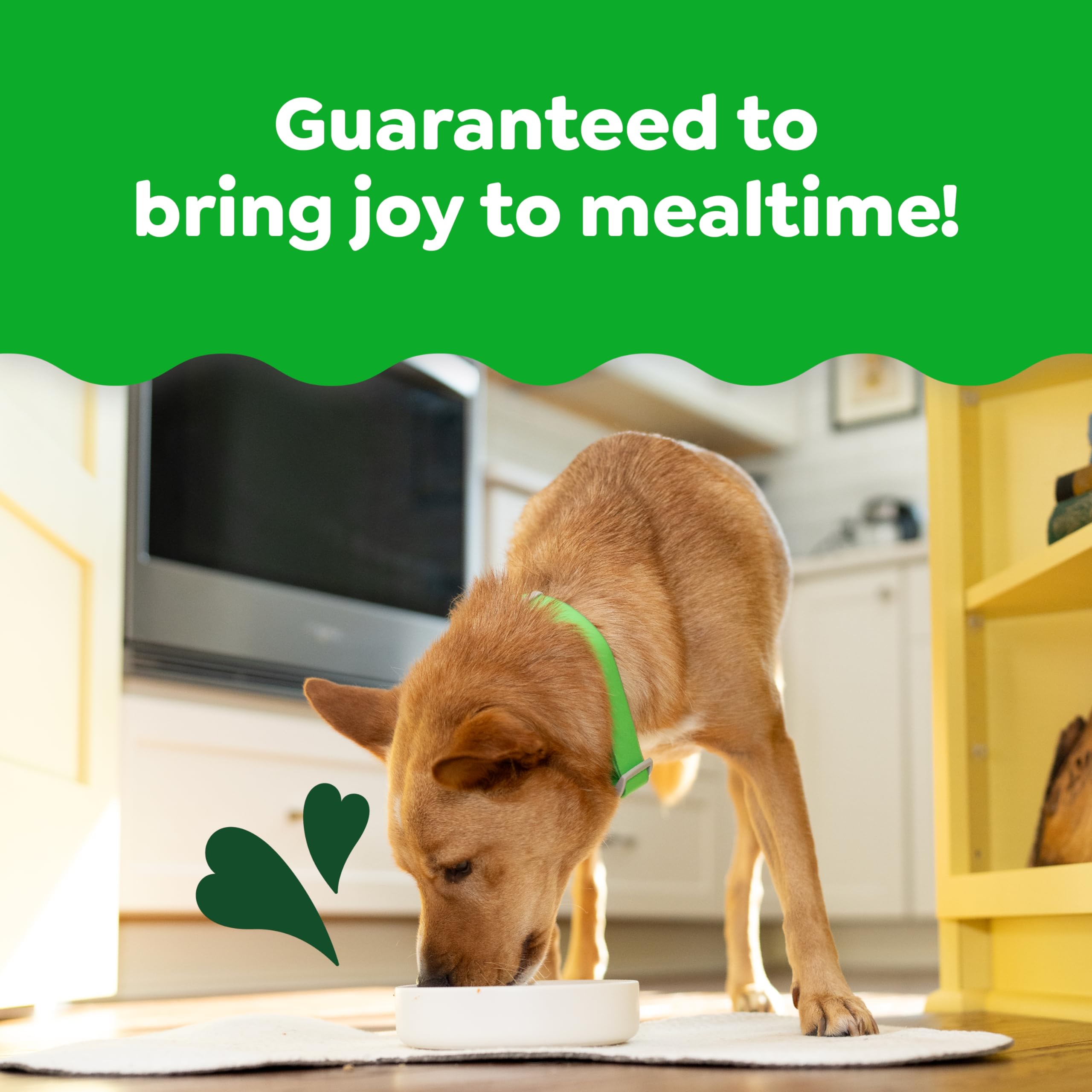 Greenies Smart Topper served as a tasty snack option.