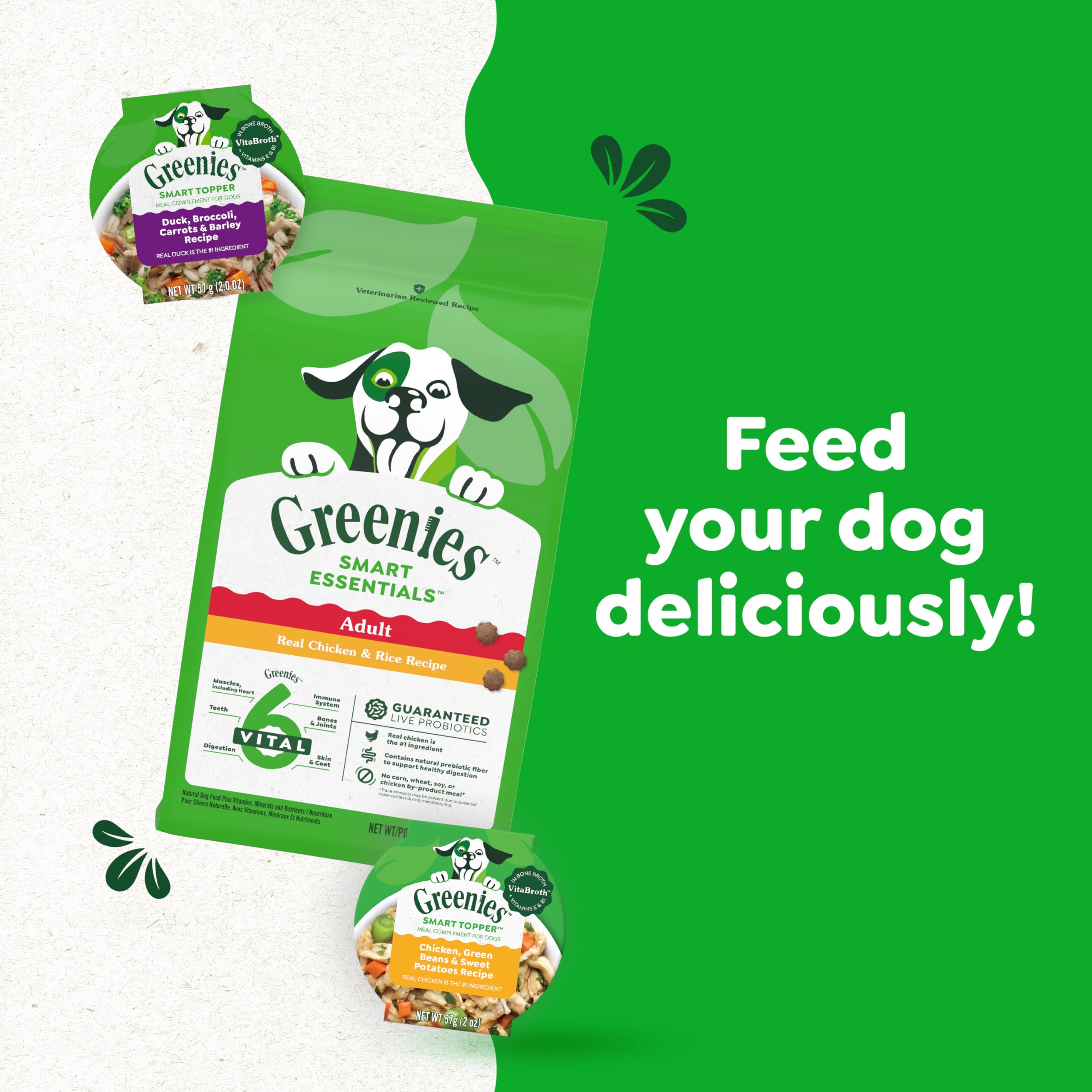 Vitamin E and B1 visuals imply potential immune-support benefits for dogs.