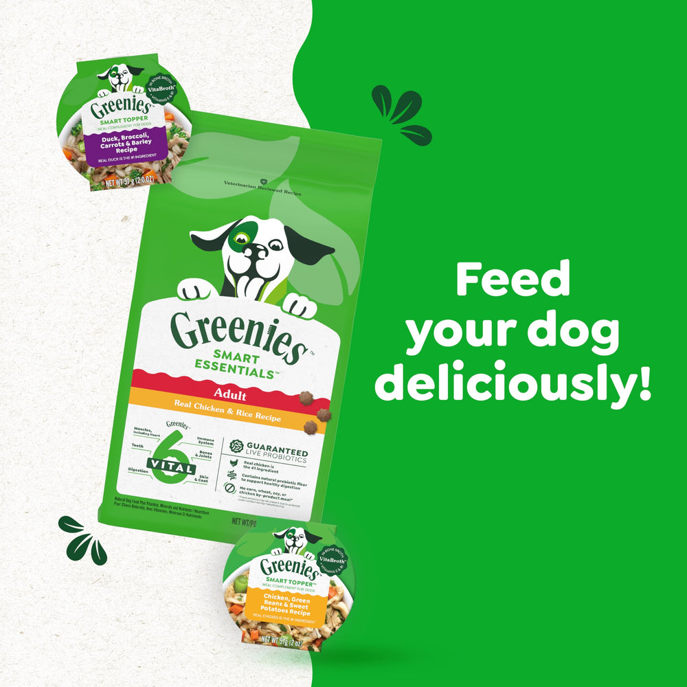 Vitamin E and B1 visuals imply potential immune-support benefits for dogs.