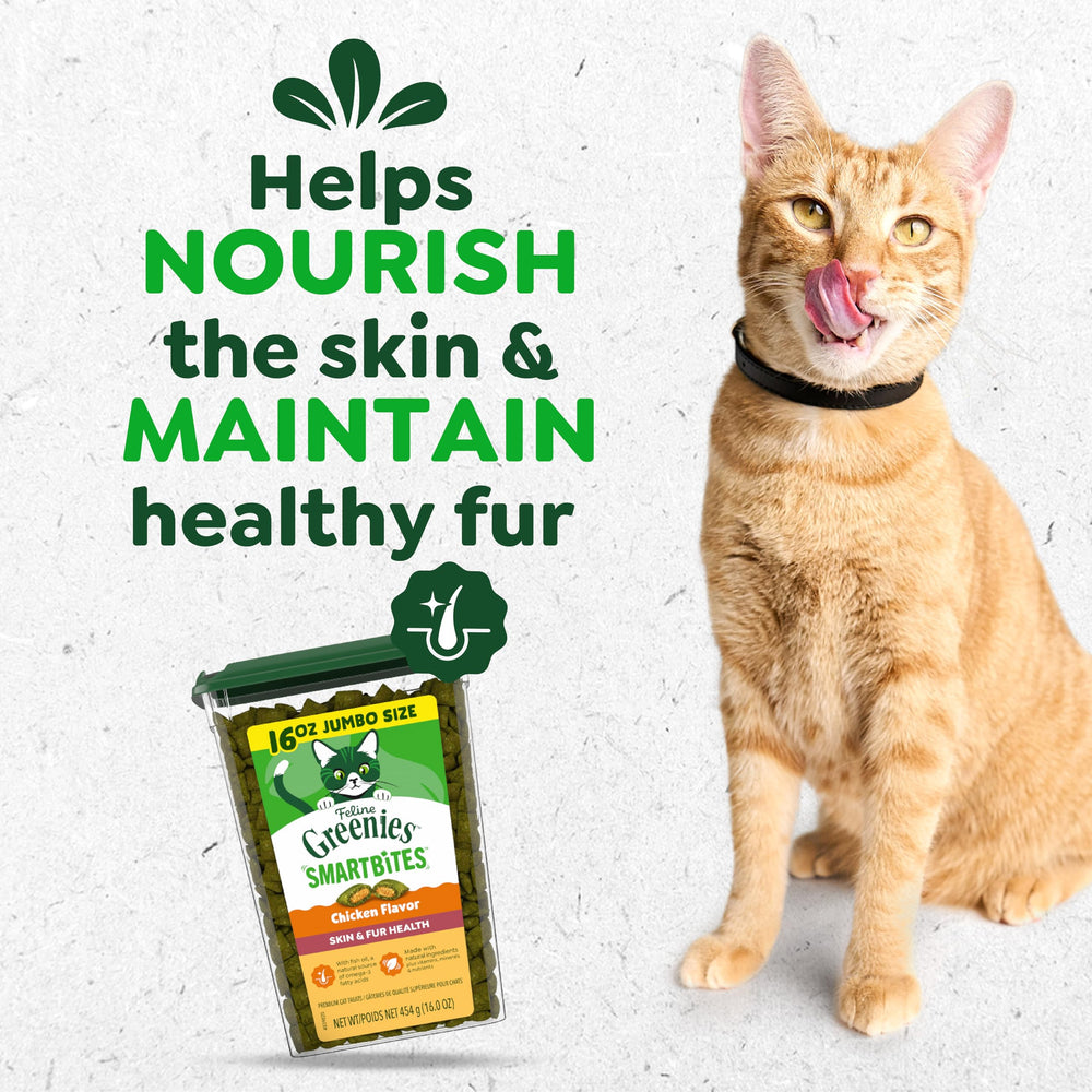 Greenies Smartbites jar showing omega-3 fish oil and flaxseed benefits.