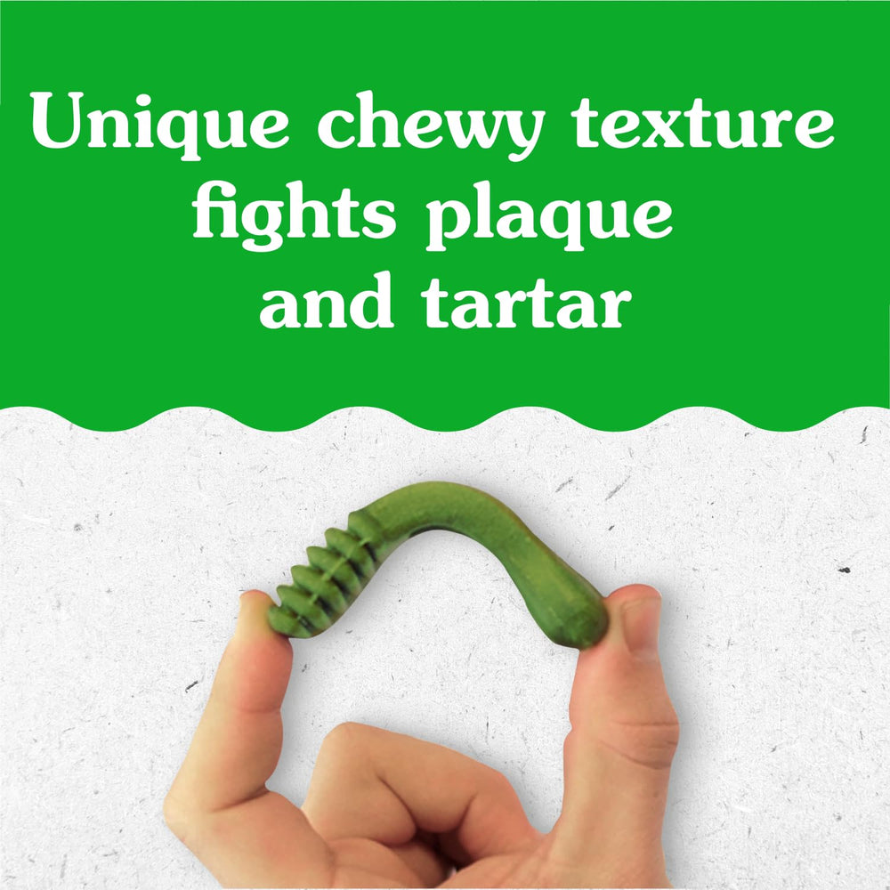 Puppy biting action on Greenies Teenie dental chew
