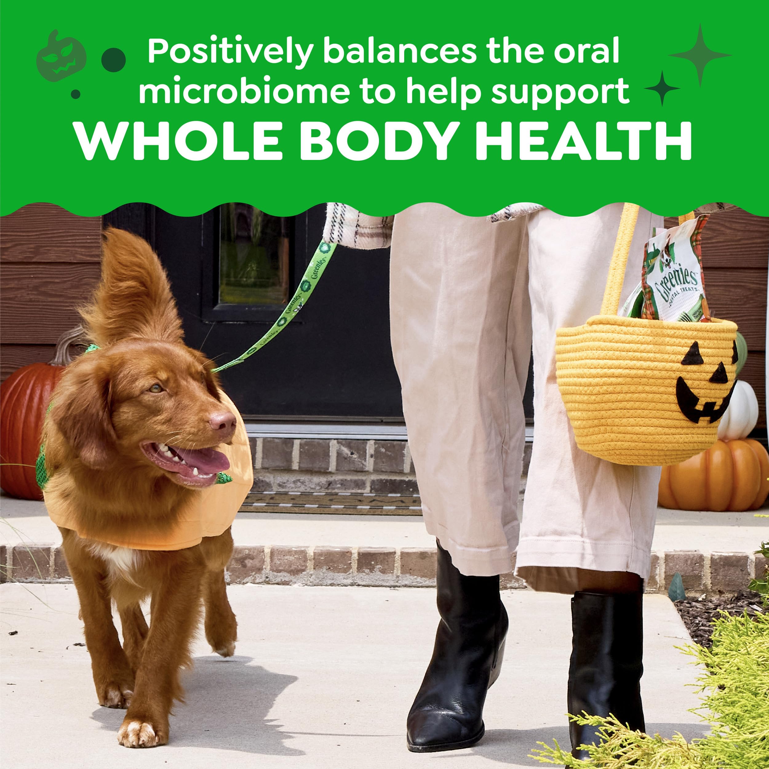 Greenies teeth-cleaning design: cleans down to gumline aiding daily dental routine.