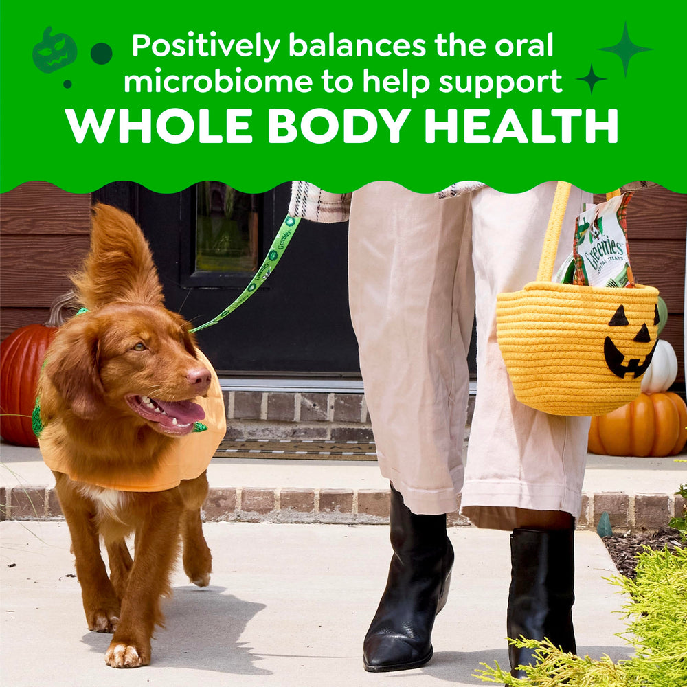 Greenies teeth-cleaning design: cleans down to gumline aiding daily dental routine.