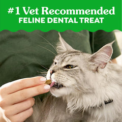 Greenies veterinarian recommendation badge close-up signaling trusted vet guidance for dental care.