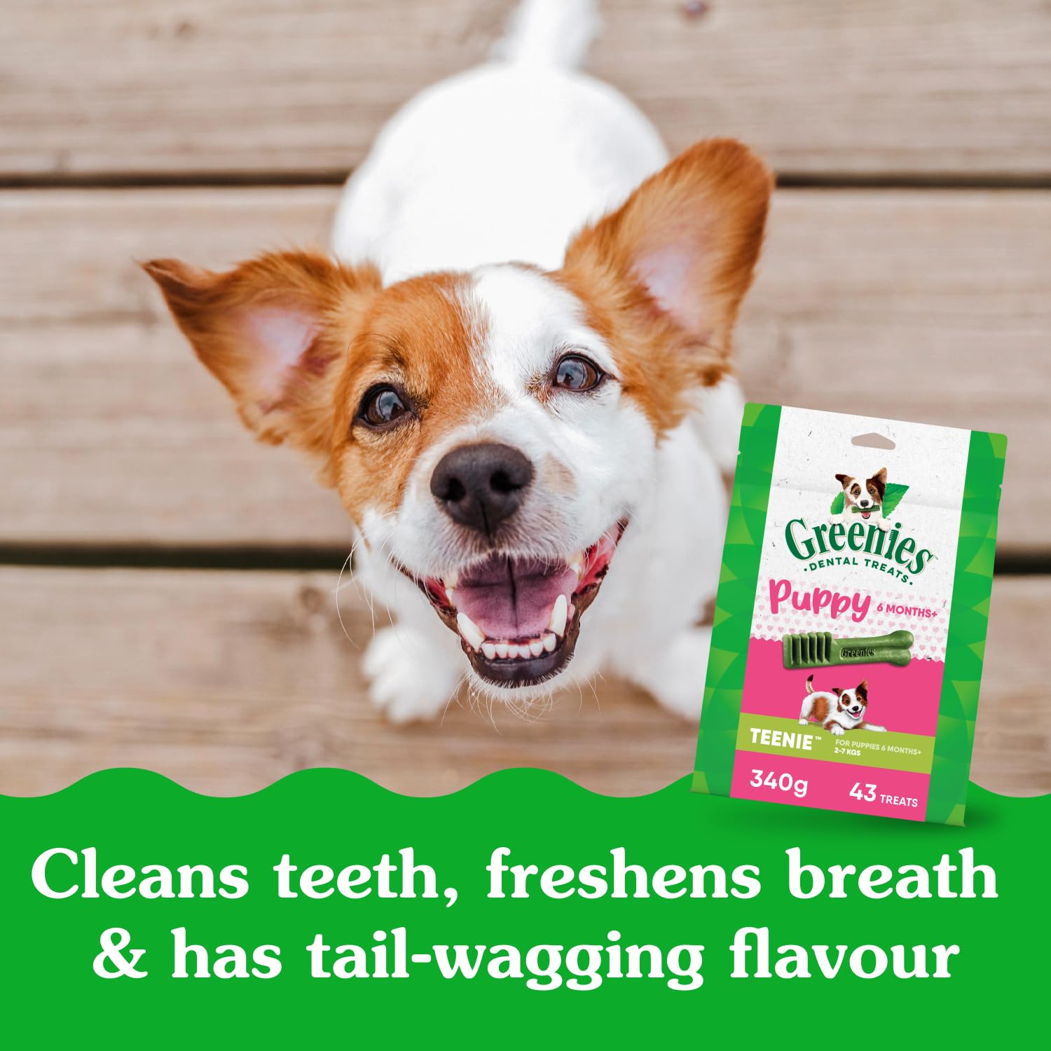 Vet-recommended badge graphic for Greenies dental chews