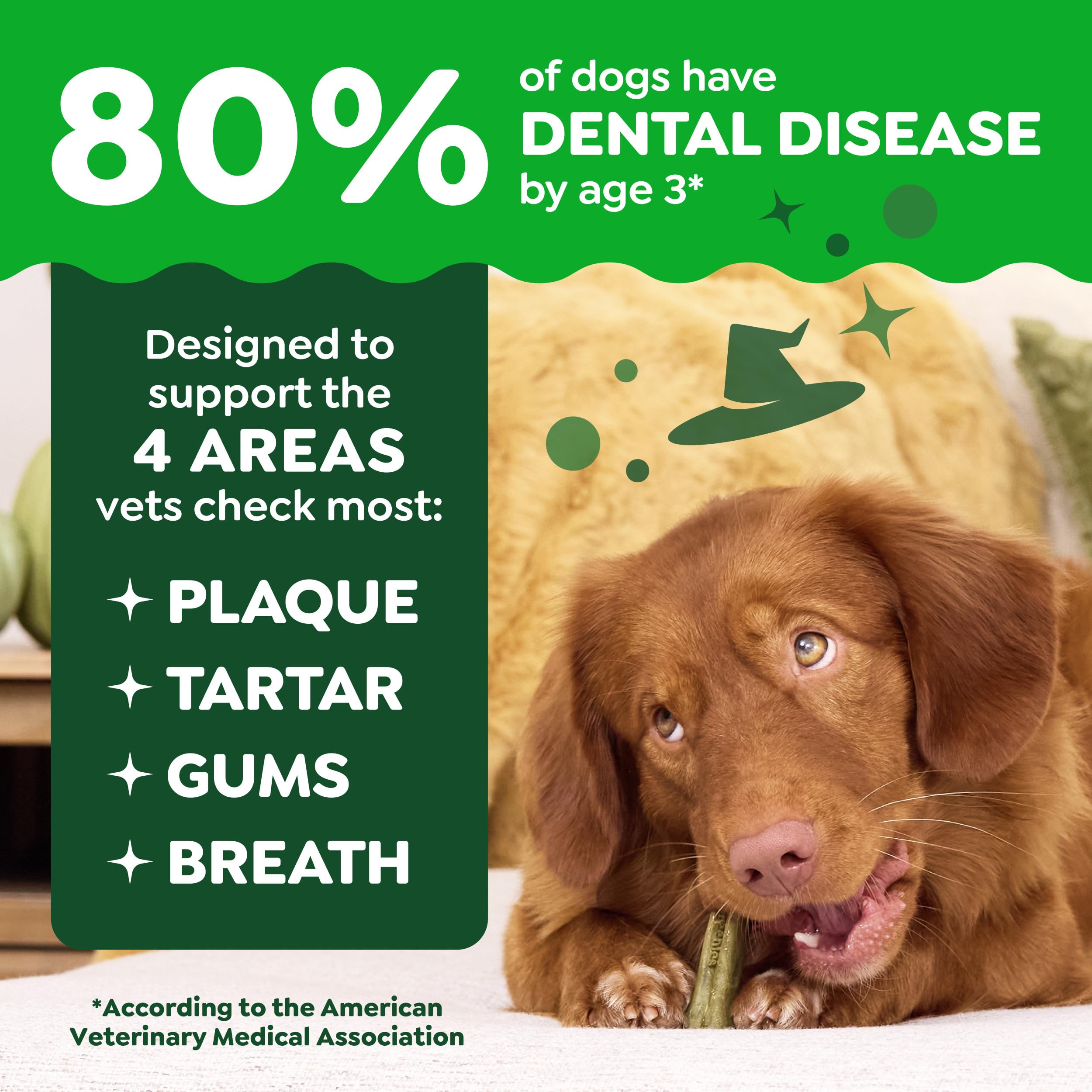 Greenies veterinarian-recommended badge close-up: trusted guidance for daily dental care.